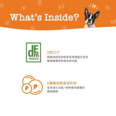 Zesty Paws Probiotic Bites 益生菌咀嚼軟粒 - 南瓜味(犬用) Zesty Paws Probiotic Bites 益生菌咀嚼軟粒 - 南瓜味(犬用)