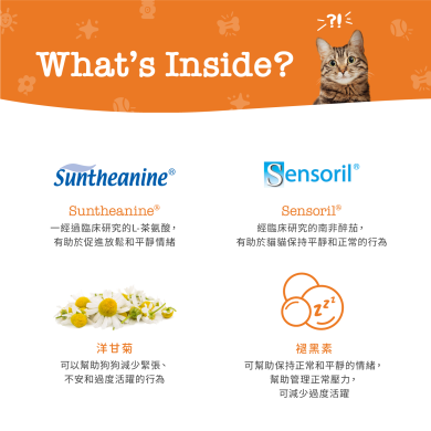 Zesty Paws Calming Bites 舒緩咀嚼軟粒 - 煙肉味(貓用)