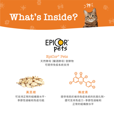 Zesty Paws Allergy&Immune Bites 抗敏免疫咀嚼軟粒 - 煙肉味(貓用) Zesty Paws Allergy&Immune Bites 抗敏免疫咀嚼軟粒 - 煙肉味(貓用)