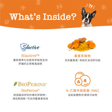 Zesty Paws Liver Support Bites 肝臟護理咀嚼軟粒 - 雞肉味(犬用) Zesty Paws Liver Support Bites 肝臟護理咀嚼軟粒 - 雞肉味(犬用)