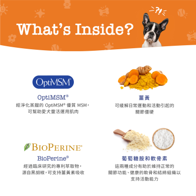 Zesty Paws Senior Advanced Hip & Joint Bites 年長配方關節護理咀嚼軟粒 - 雞肉味(高齡犬用) Zesty Paws Senior Advanced Hip & Joint Bites 年長配方關節護理咀嚼軟粒 - 雞肉味(高齡犬用)