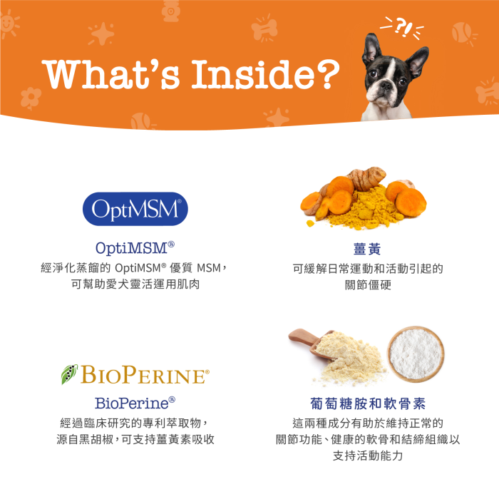 Zesty Paws Senior Advanced Hip & Joint Bites 年長配方關節護理咀嚼軟粒 - 雞肉味(高齡犬用) Zesty Paws Senior Advanced Hip & Joint Bites 年長配方關節護理咀嚼軟粒 - 雞肉味(高齡犬用)