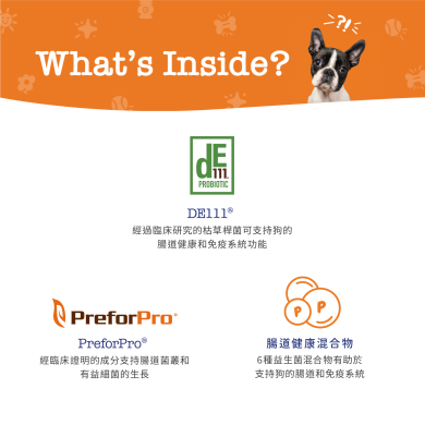 Zesty Paws Senior Advanced Probiotic Bites 年長配方益生菌咀嚼軟粒 - 雞肉味(高齡犬用) Zesty Paws Senior Advanced Probiotic Bites 年長配方益生菌咀嚼軟粒 - 雞肉味(高齡犬用)