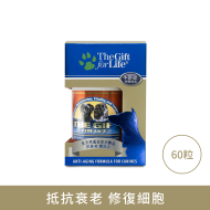 PetzentialPlus UAF NMN + Q10 PetzentialPlus UAF NMN + Q10