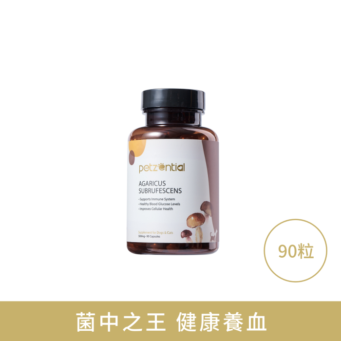 Petzential 姬松茸 Petzential 姬松茸